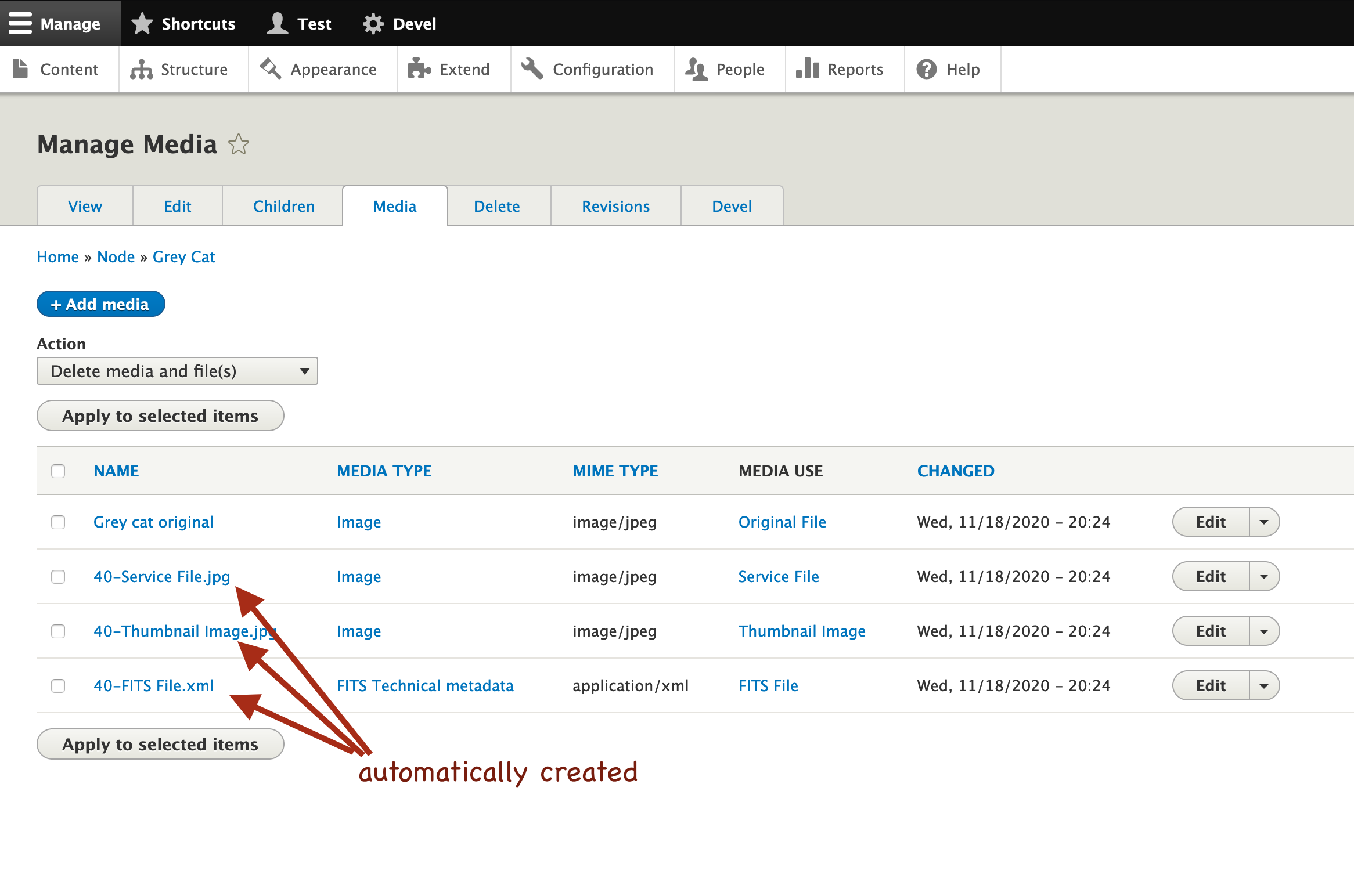 Derivatives were created and are listed under the Media tab.