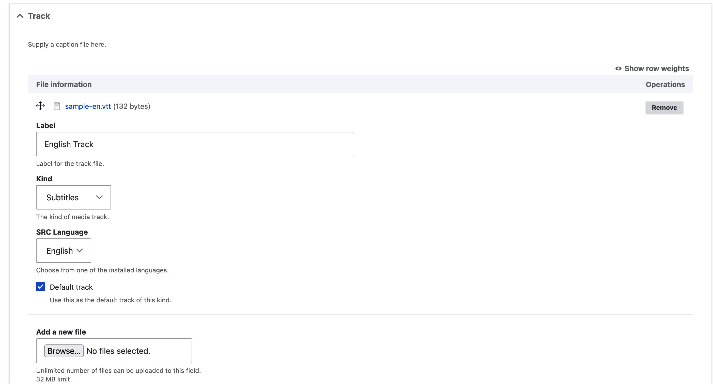 Screenshot of the Track field with a file uploaded and configured